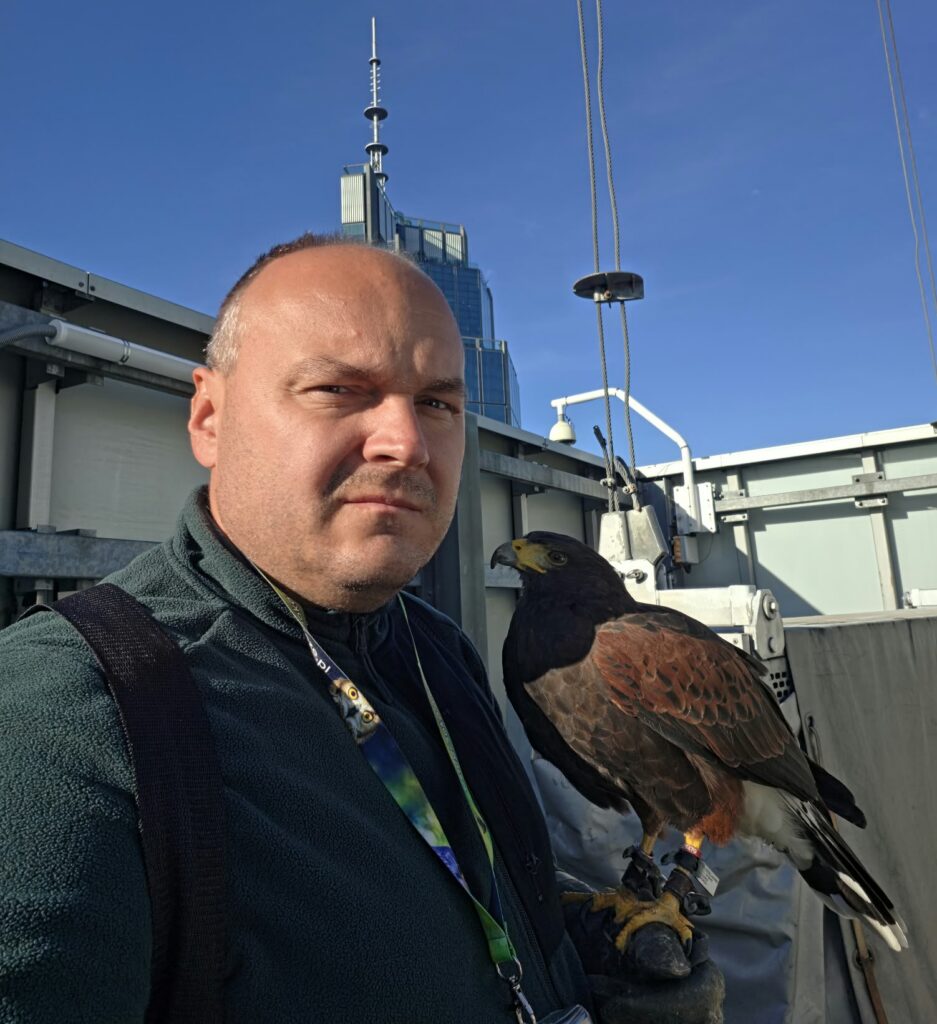 Sokolnik Grzegorz Laskowski ze swoją podopieczną podczas płoszenia gołębi.